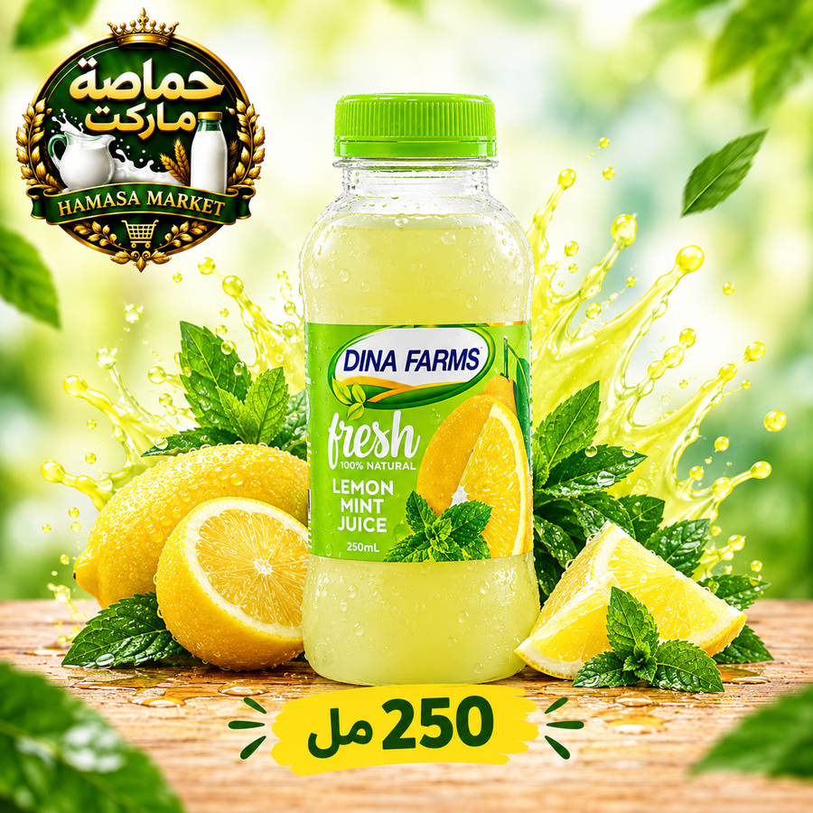 عصير ليمون نعناع مزارع دينا 250 مل 🍋