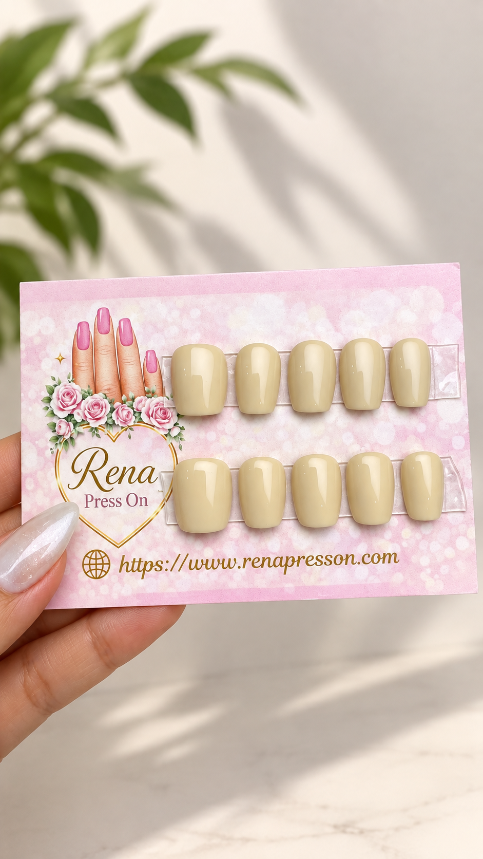 Vanilla Cream