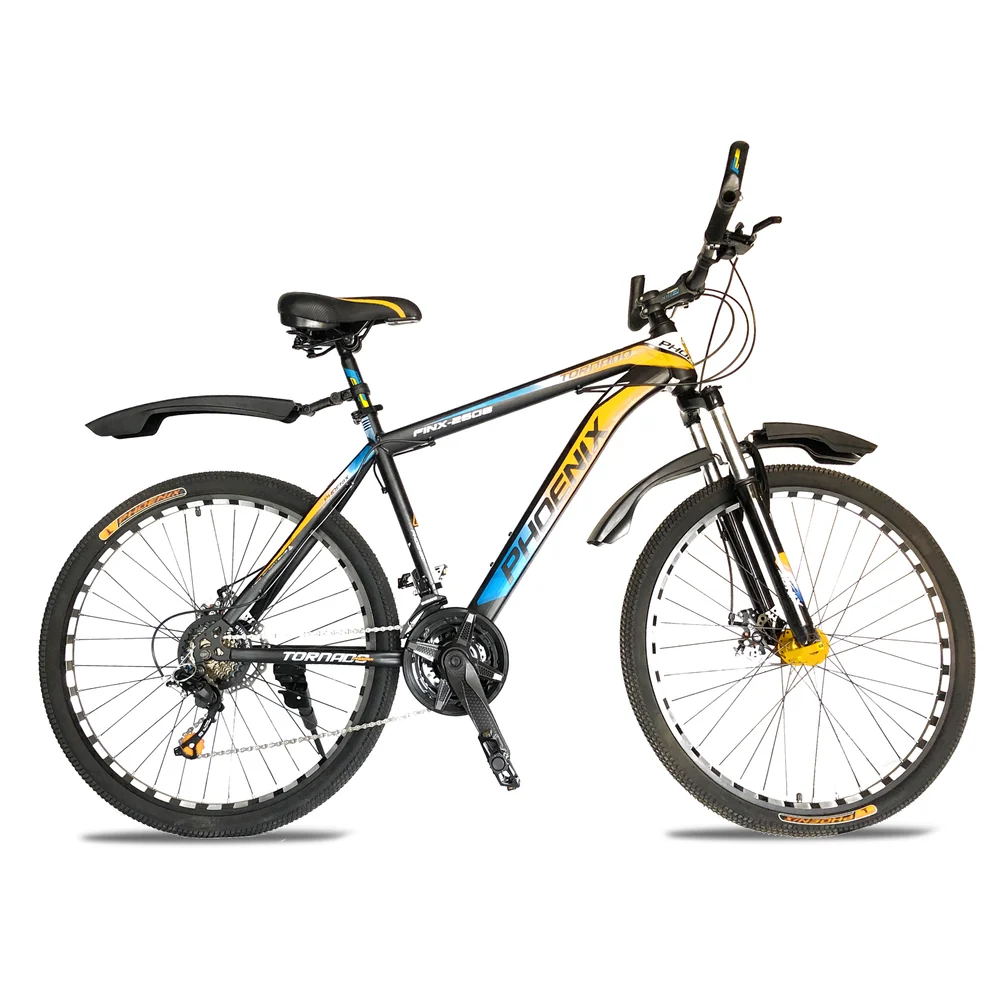  Phoenix 2608 Mountain Bike | 21 Speed, 26 Inch Steel Frame