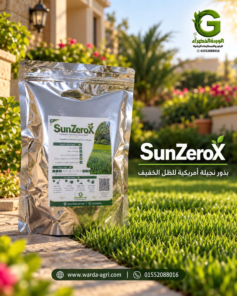 https://files.easy-orders.net/1790427062336214128.jpeg