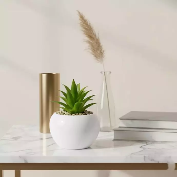 نبات صبار اصطناعي بتصميم عصري