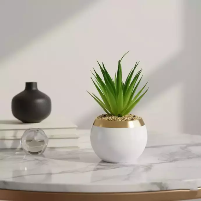 نبات صبار صناعي واقعي