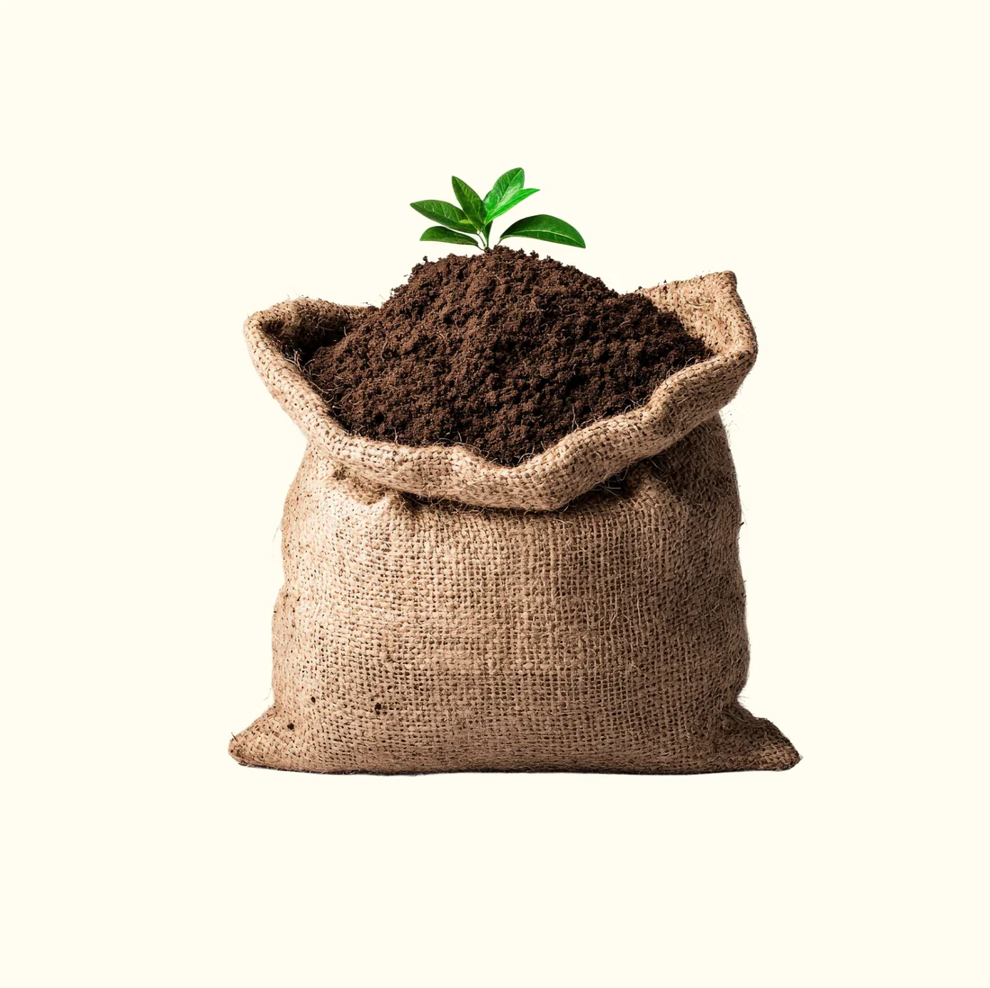 Organic Compost
