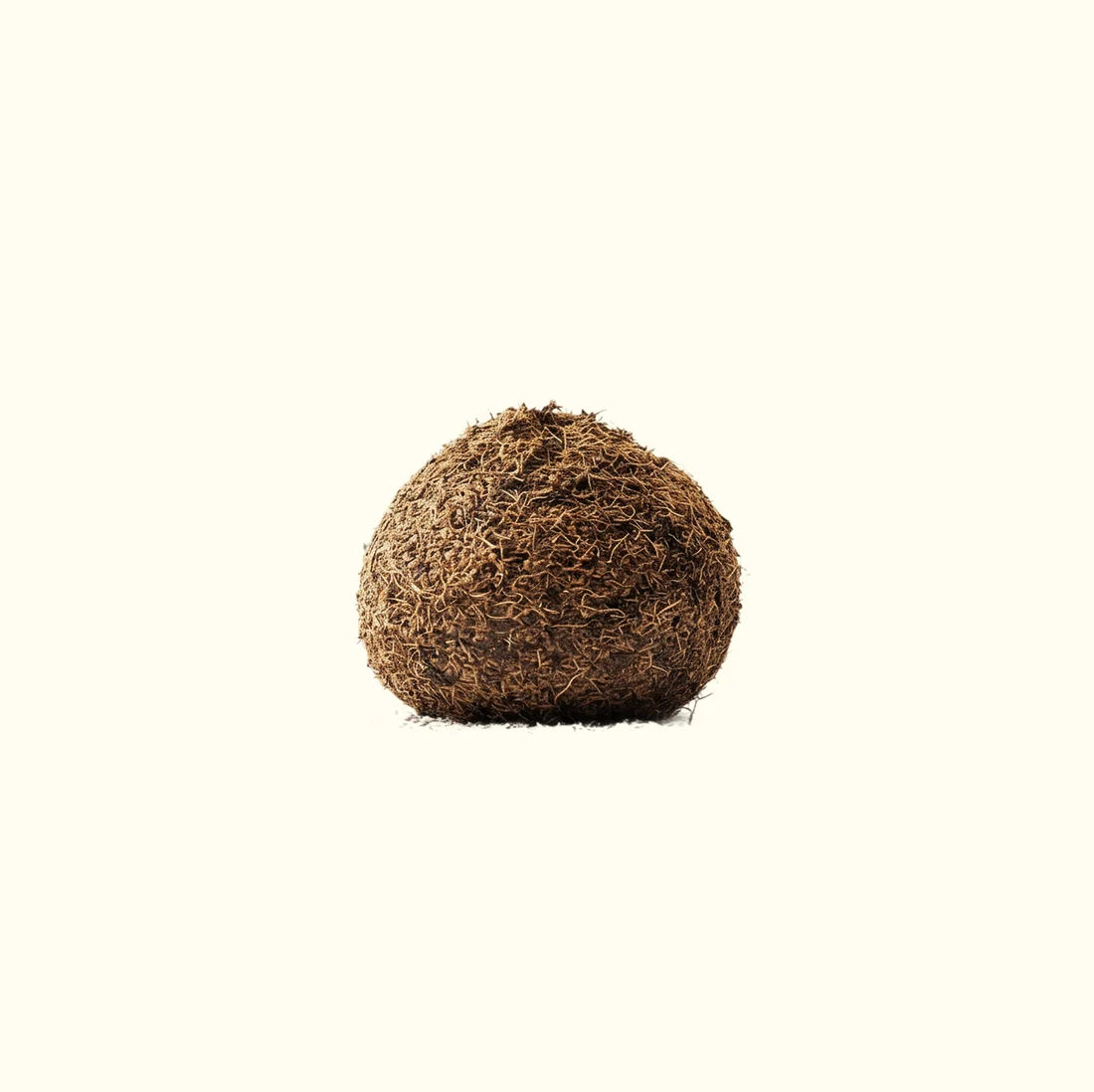 Cocopeat