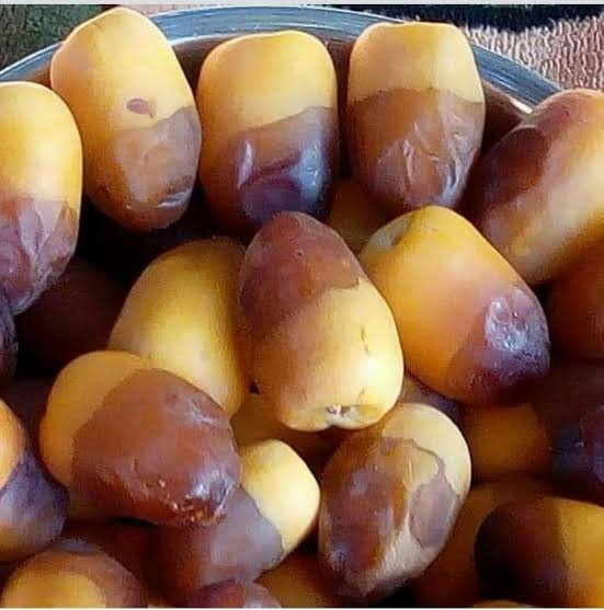 بلح رطب "بشاير" طازج فاخر