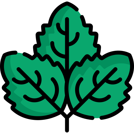Peppermint Leaf Extract