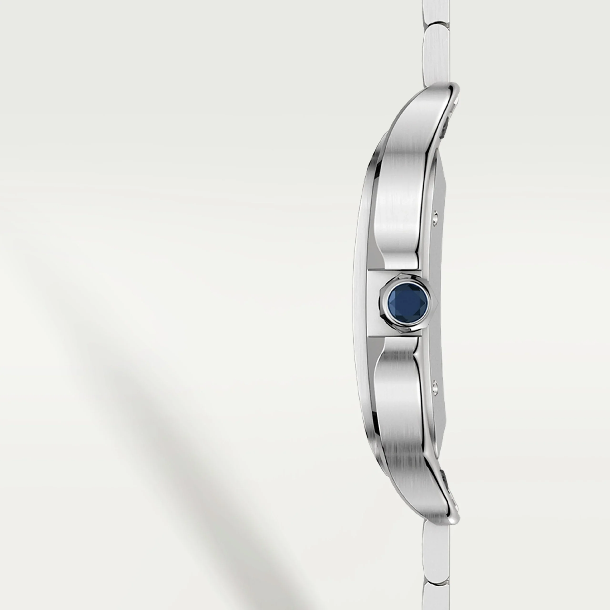 Cartier Watch For Men - Santos de Cartier (Large Model) - WSSA0071