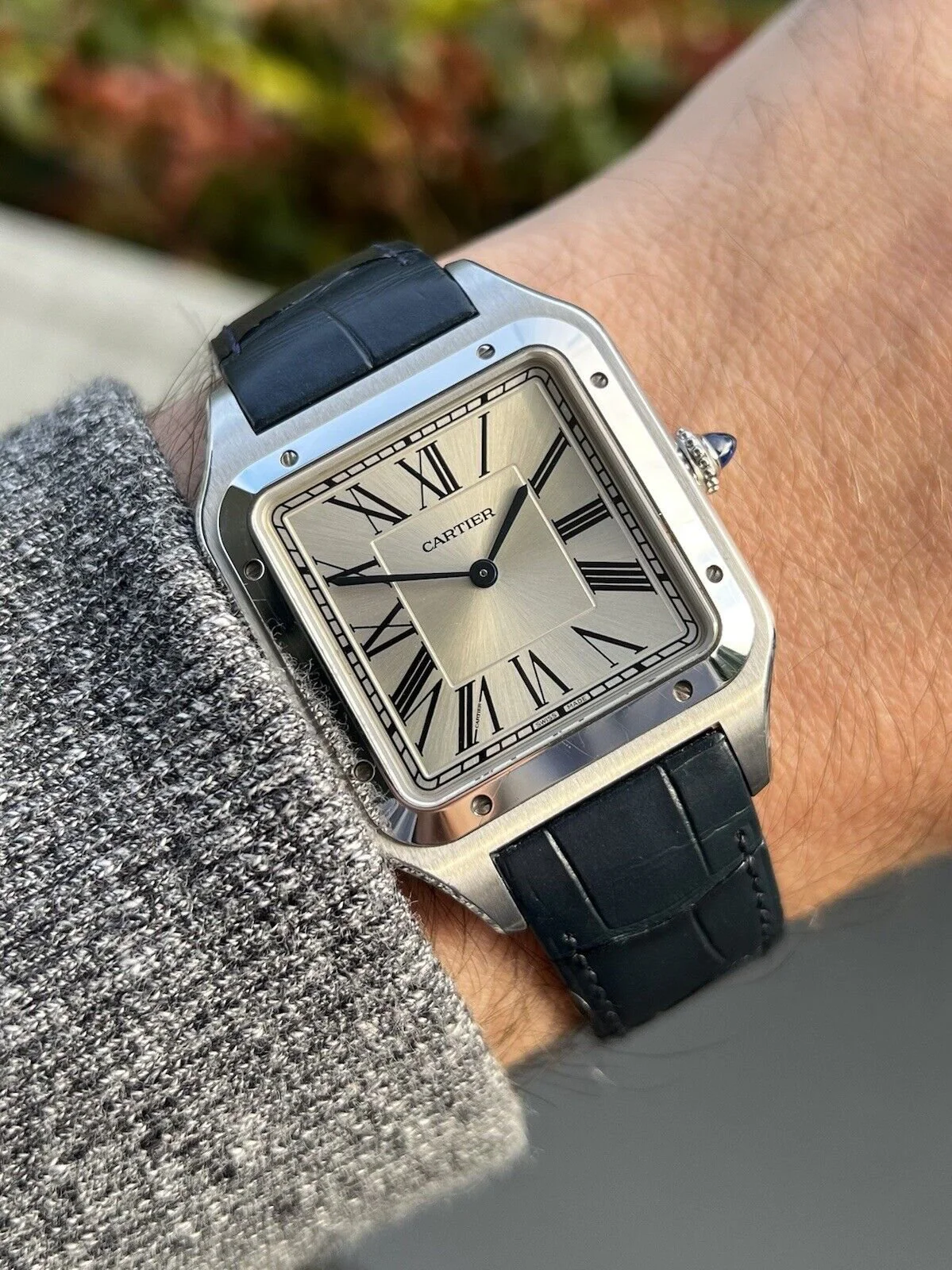 Cartier Watch For Men - Santos Dumont (Large Model) - WSSA0032