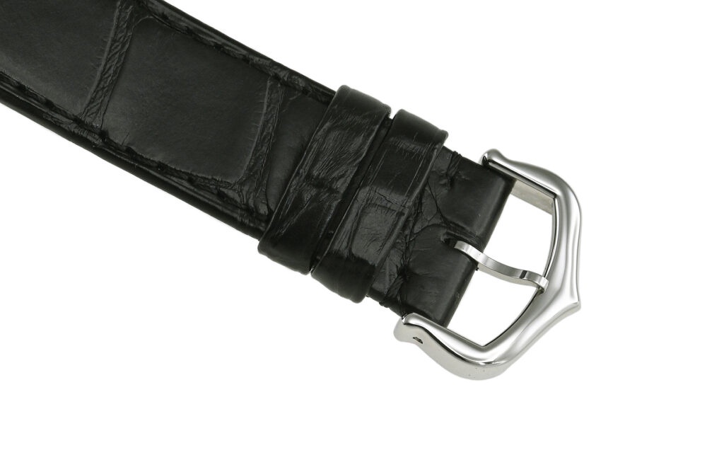 Cartier Watch For Men - Santos Dumont (Large Model) - WSSA0046