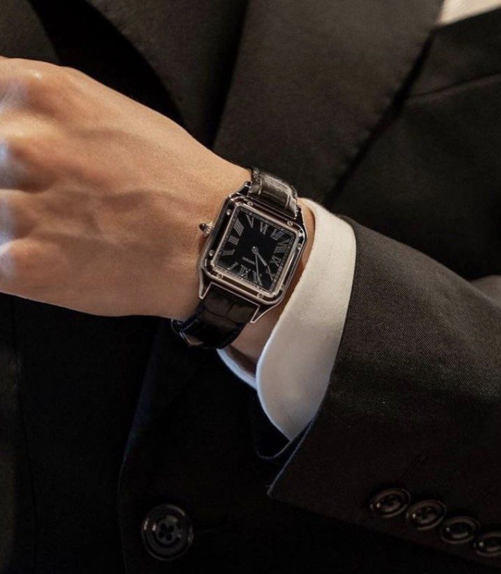 Cartier Watch For Men - Santos Dumont (Large Model) - WSSA0046