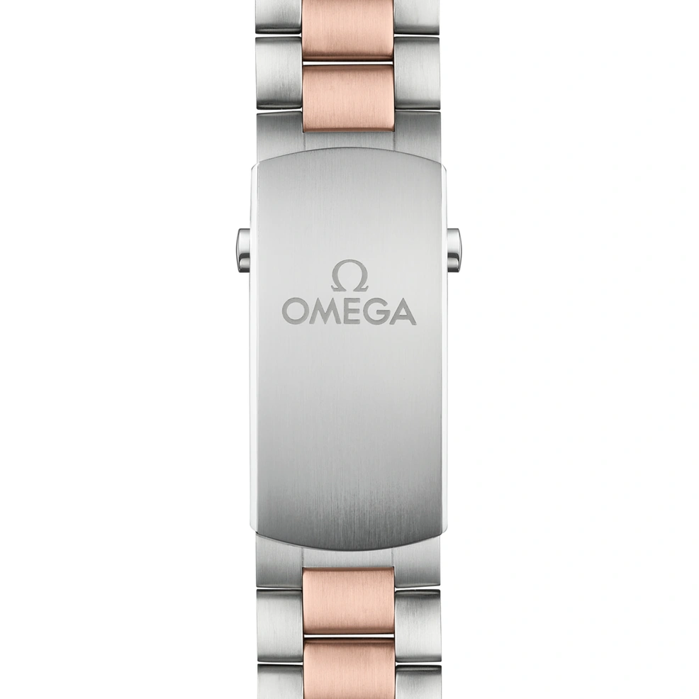 Omega Watch For Men - Seamaster Planet Ocean 600M Master Chronometer Chronograph, 40.5 mm, Two-Tone