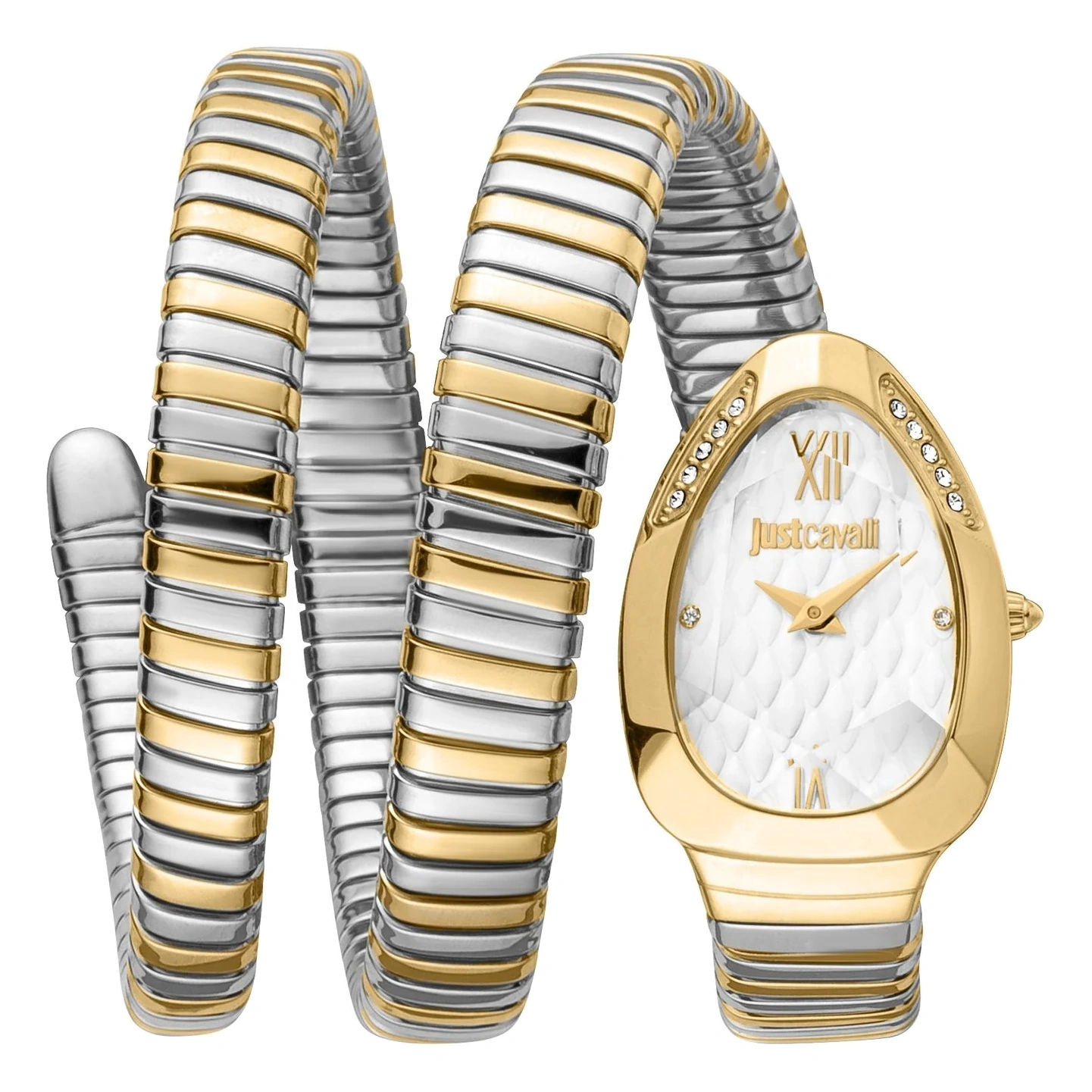 Just Cavalli Watch For Women - Ref. JC1L224M0065