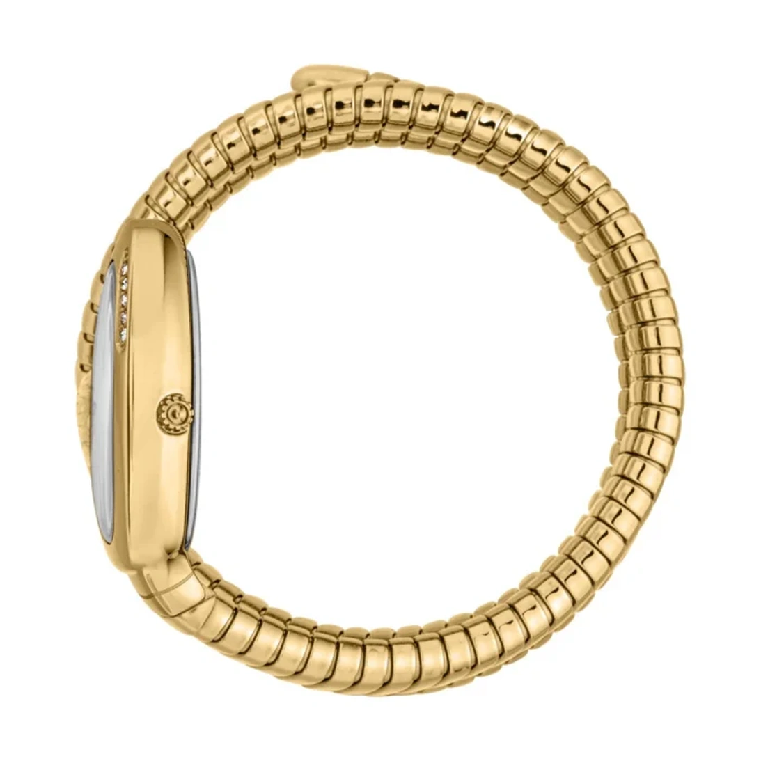 Just Cavalli Watch For Women - Ref. JC1L230M0035