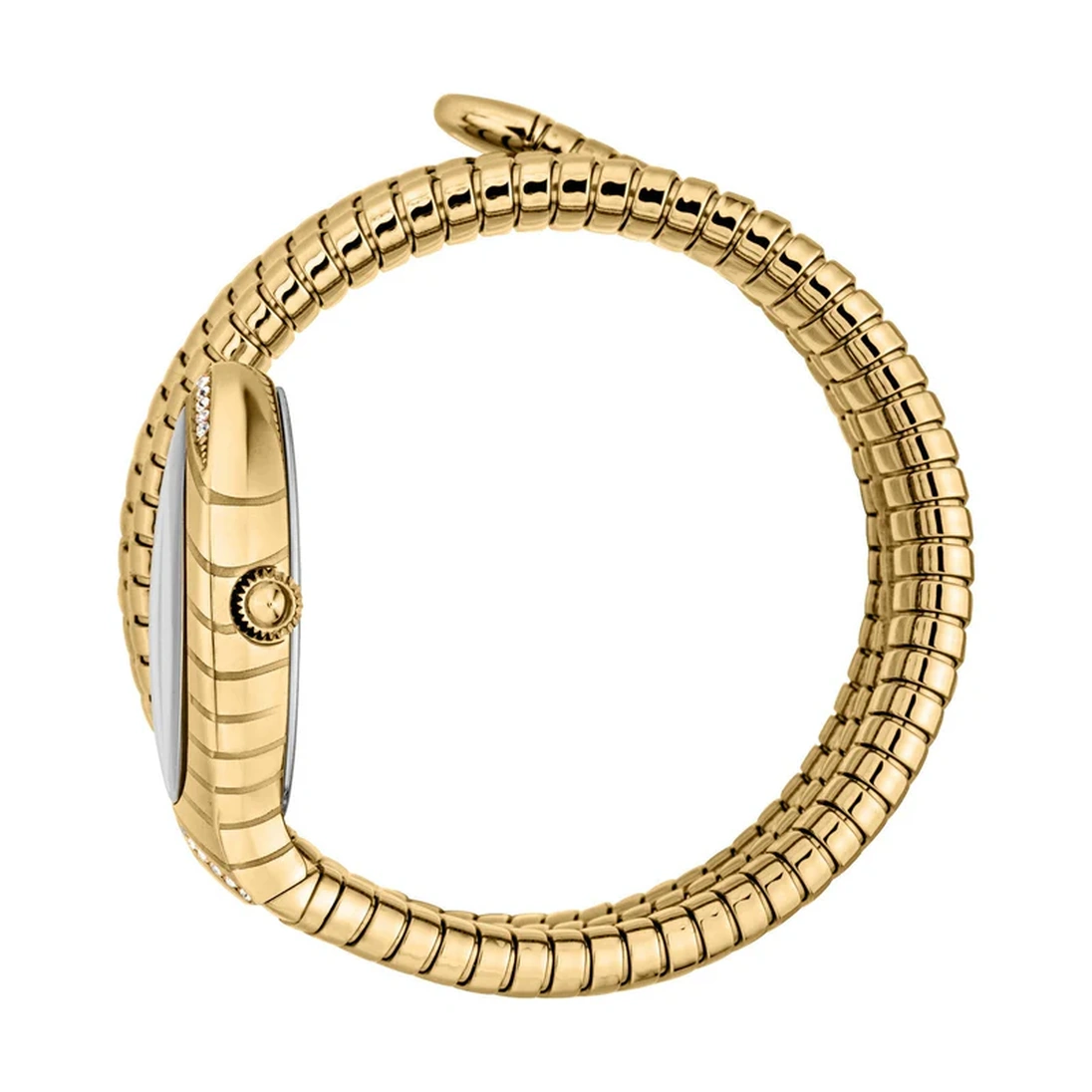 Just Cavalli Watch For Women - Ref. JC1L248M0025