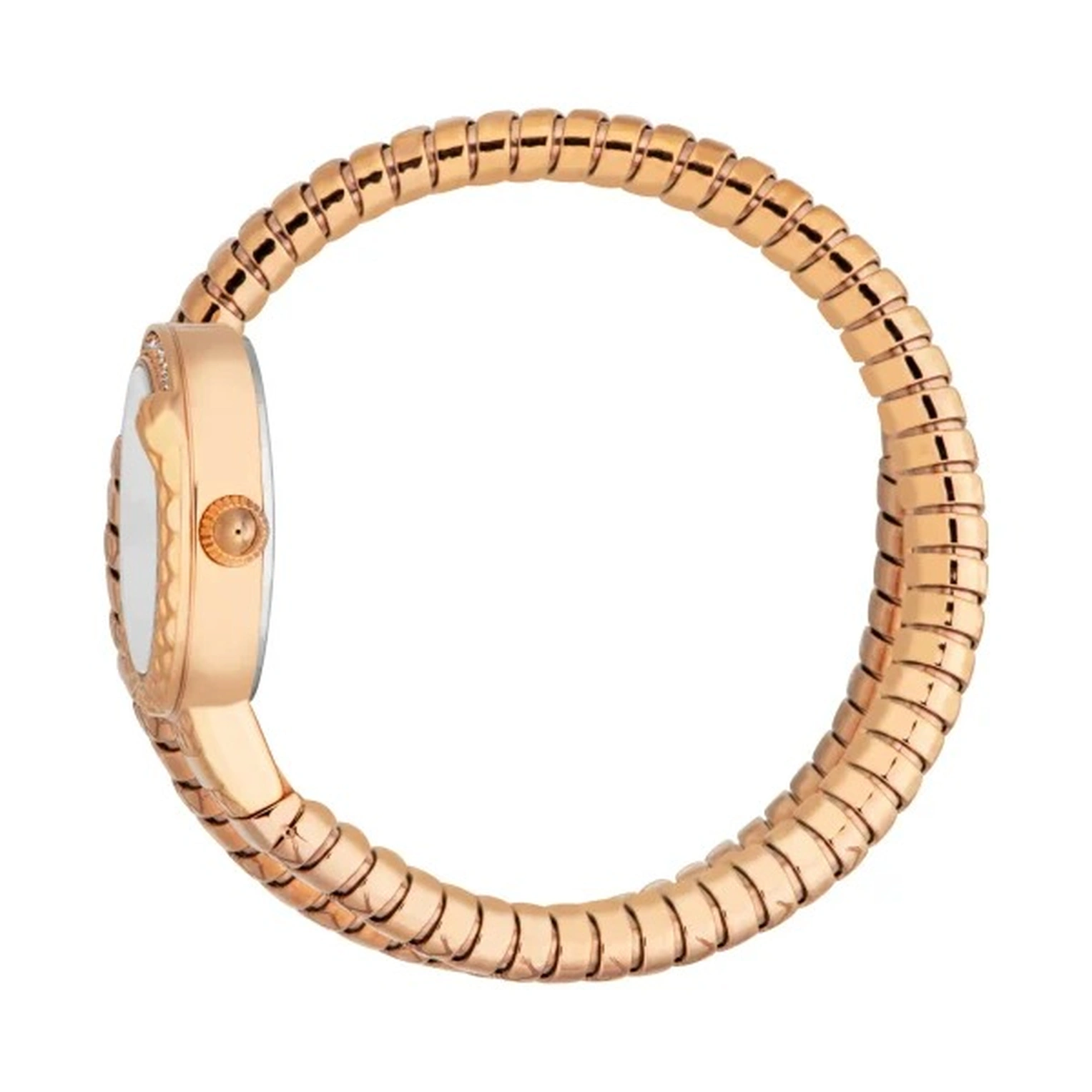 Just Cavalli Watch For Women - Ref. JC1L301M0045