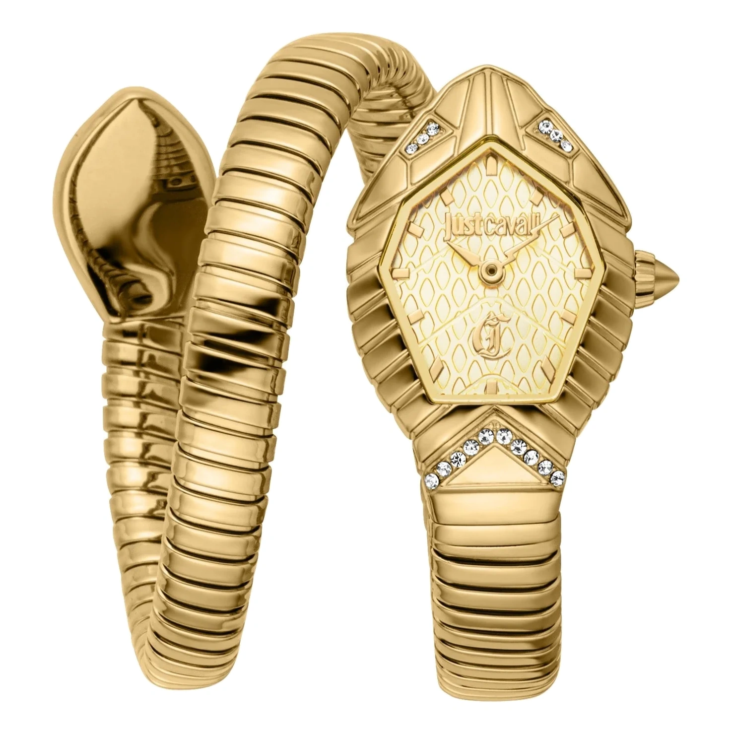 Just Cavalli Watch For Women - Ref. JC1L356M0025