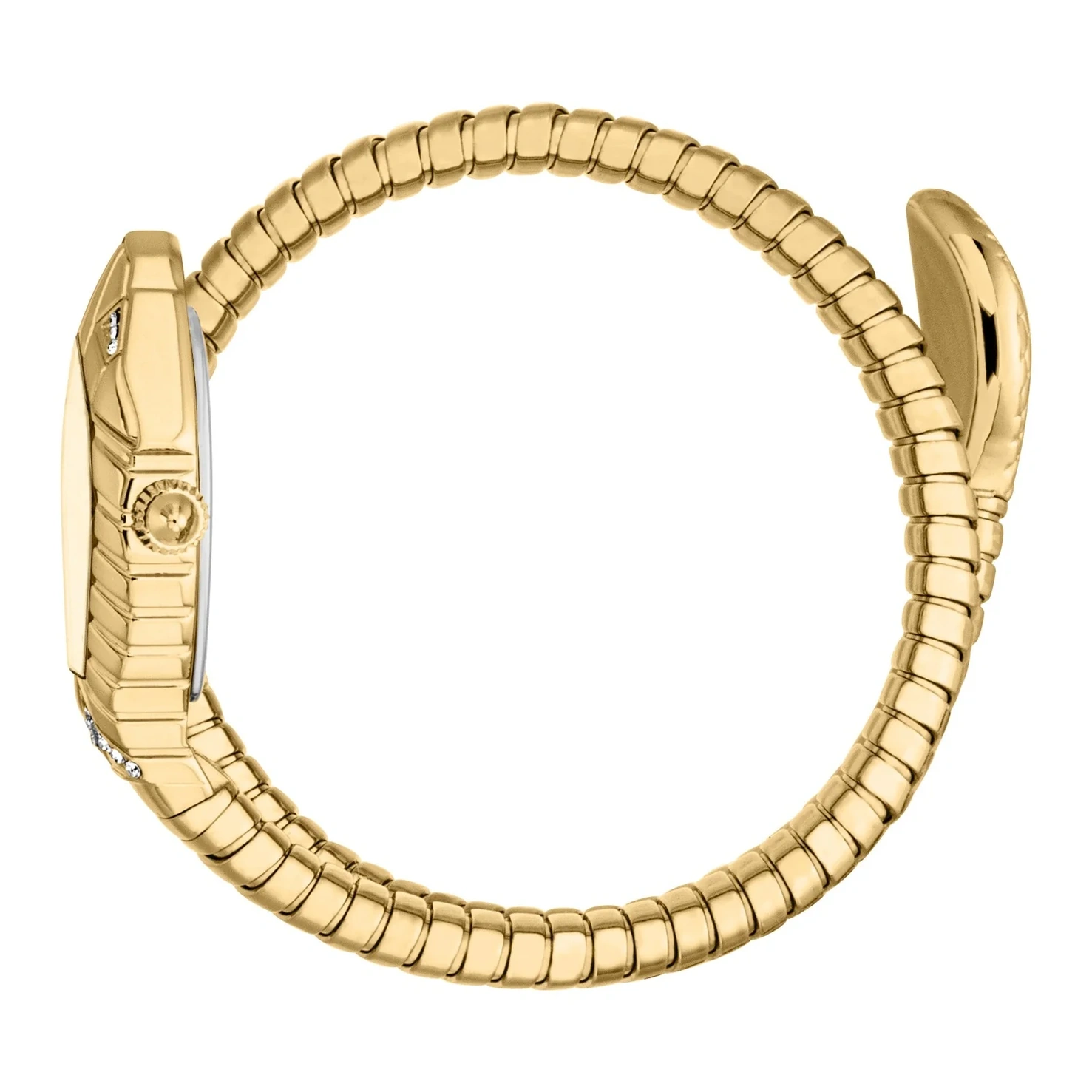 Just Cavalli Watch For Women - Ref. JC1L356M0025