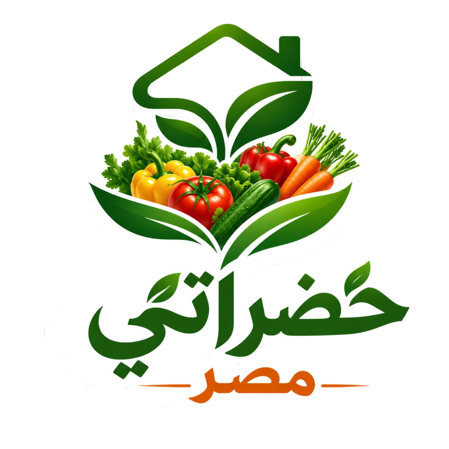 khodraty-masr.shop