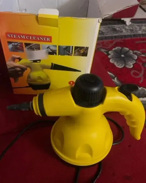 Customer photo: steam cleaner next to its box
