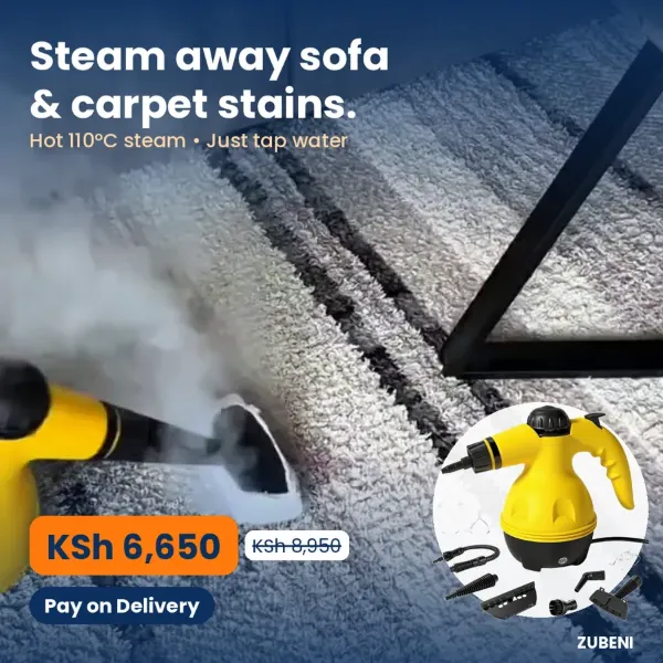 Handheld steam cleaner cleaning a sofa