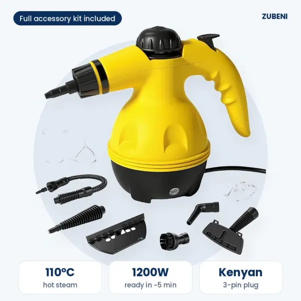 Steam cleaner with its accessories