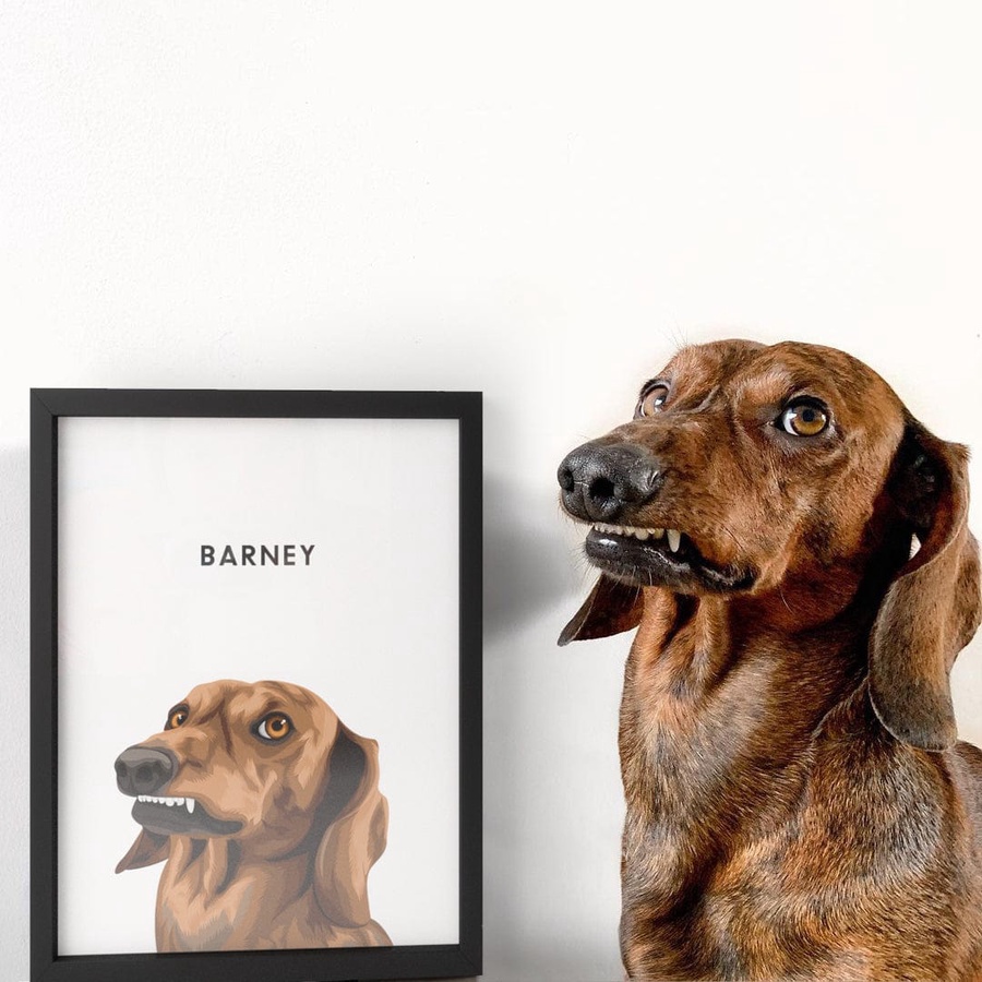 Modern Pet Portrait 1 pet