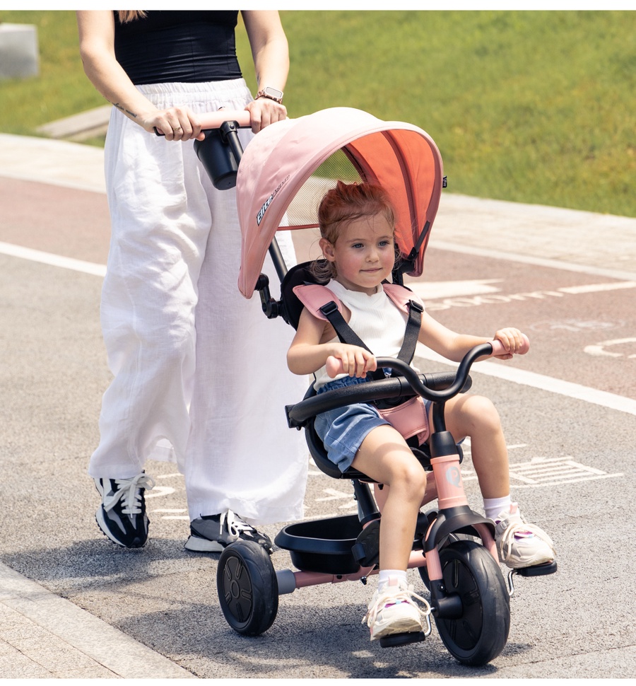 Qplay Elite Platinum 6-in-1 Trike