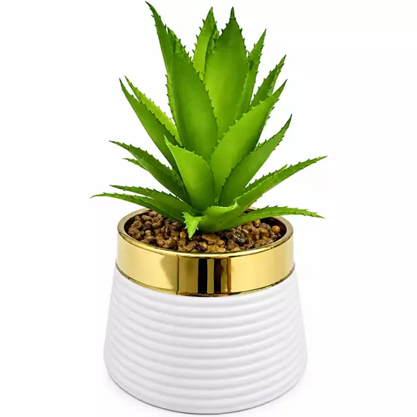 نبات صبار صناعي صغير في أصيص 