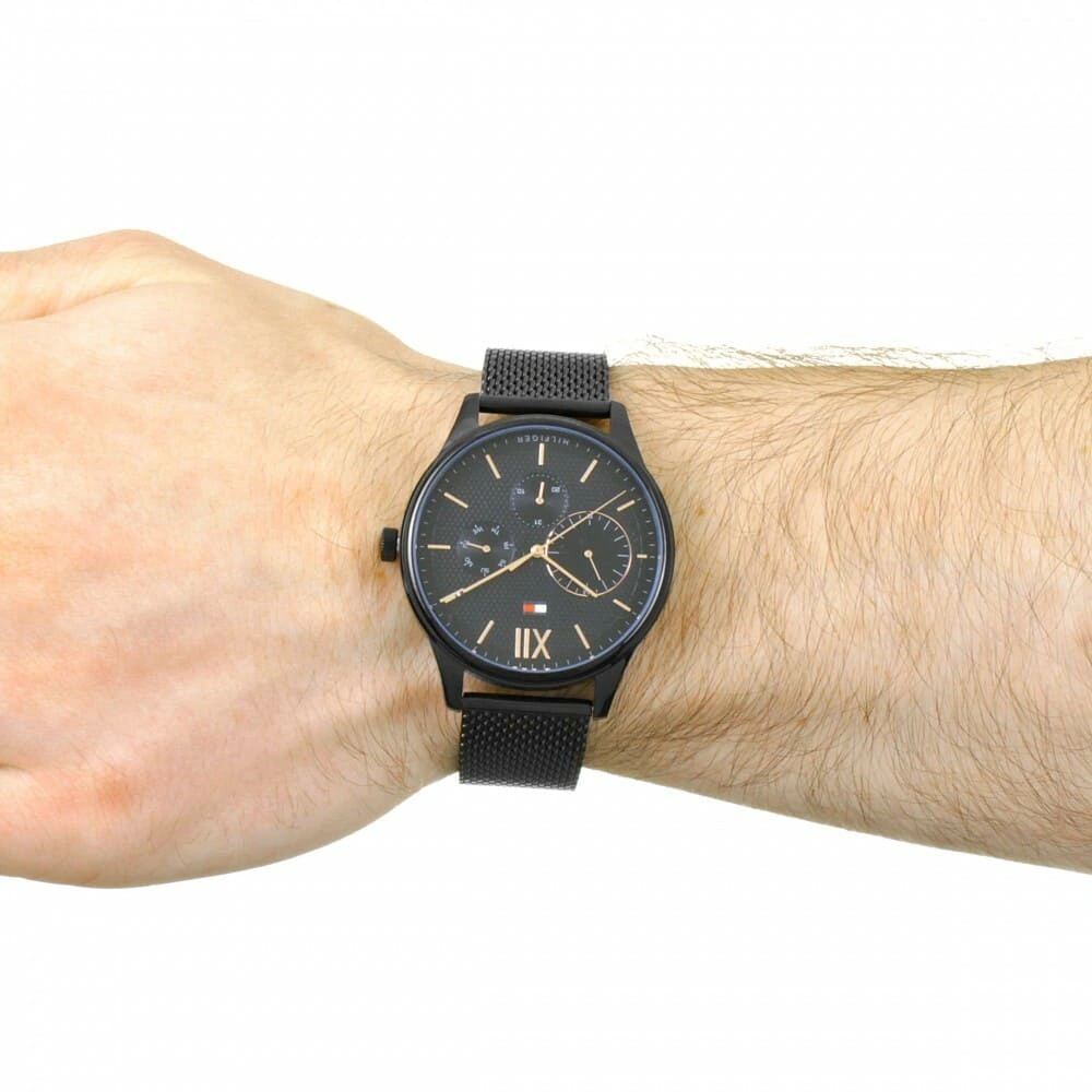 Tommy Hilfiger watch for Men 1791420