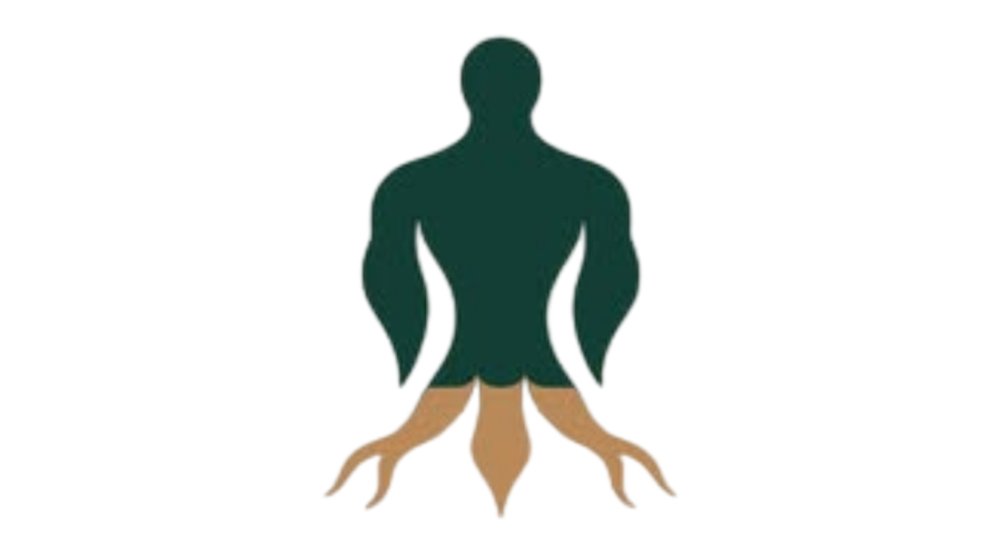 el-anteel 1