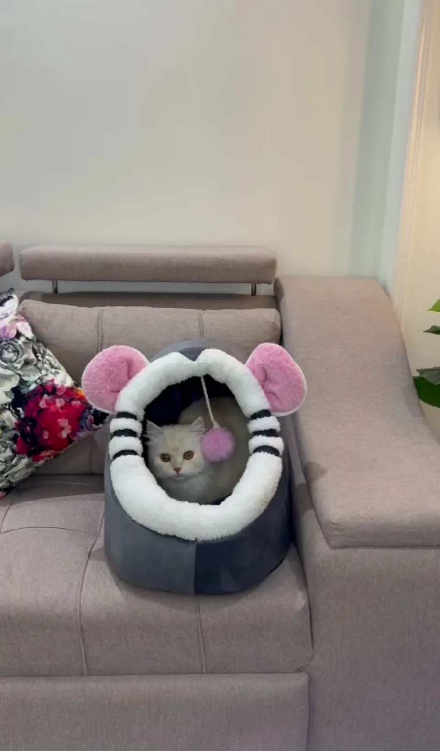 Petmoda Cat House Bed (FLASH SALE)