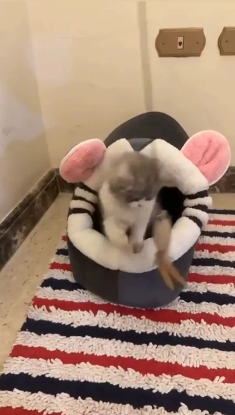 Petmoda Cat House Bed (FLASH SALE)