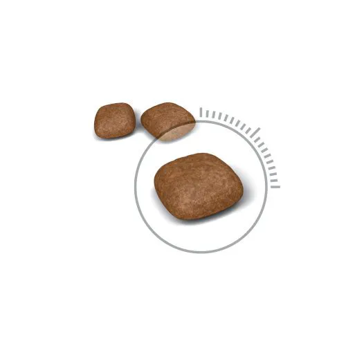 Royal Canin Urinary Care Cat Dry Food 2kg