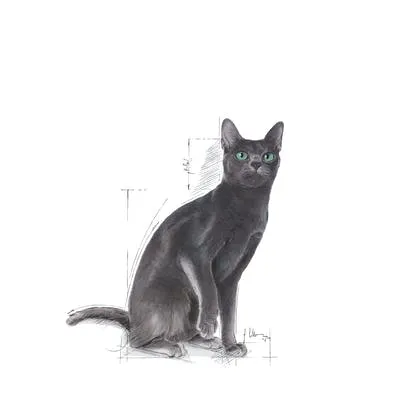 Royal Canin Sterilised Cat Dry Food 2kg