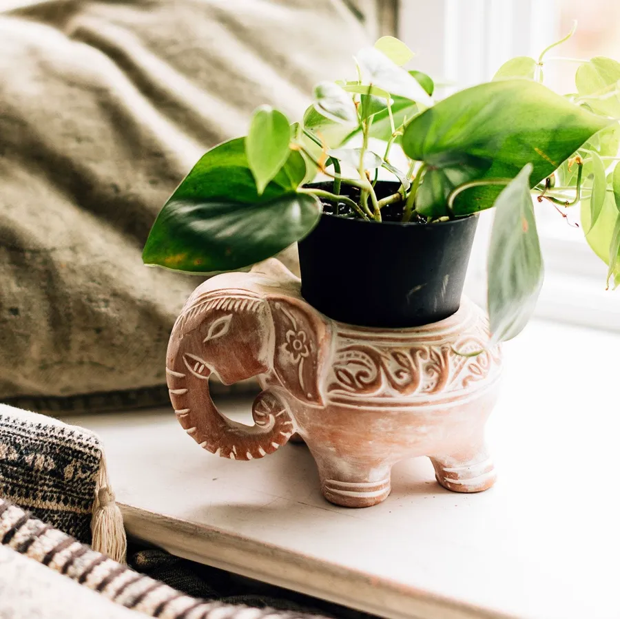 Elephant Garden Joy