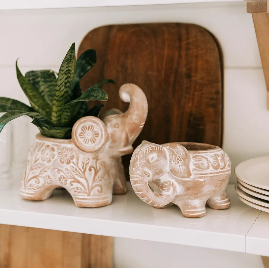 Elephant Garden Joy