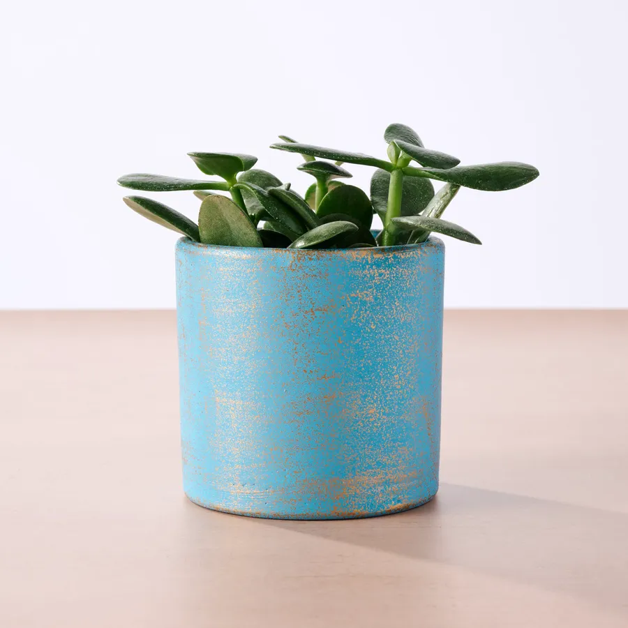 Chota Terracotta Mini Planter - Light Blue